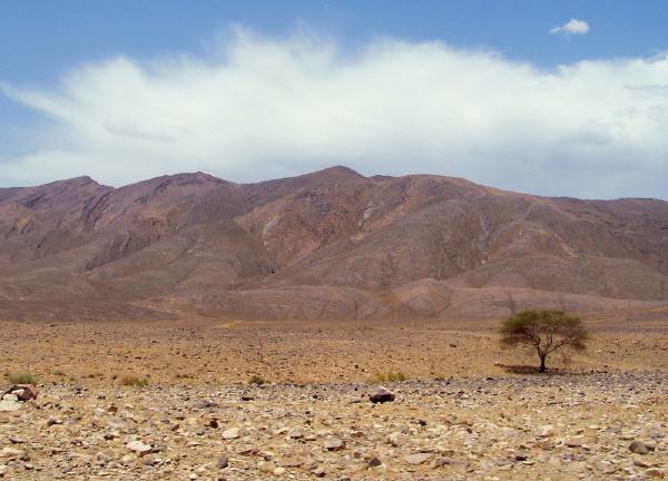 Maroc-2009