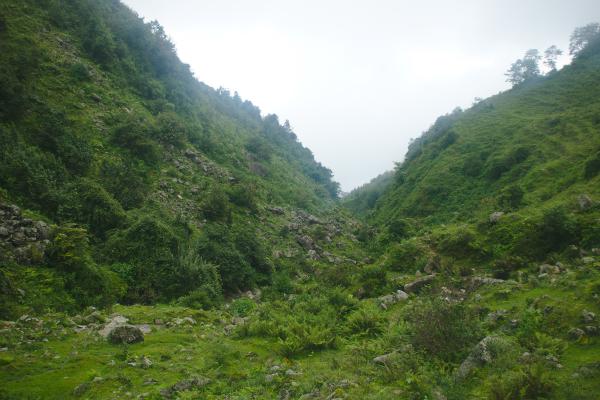 Village Tamang