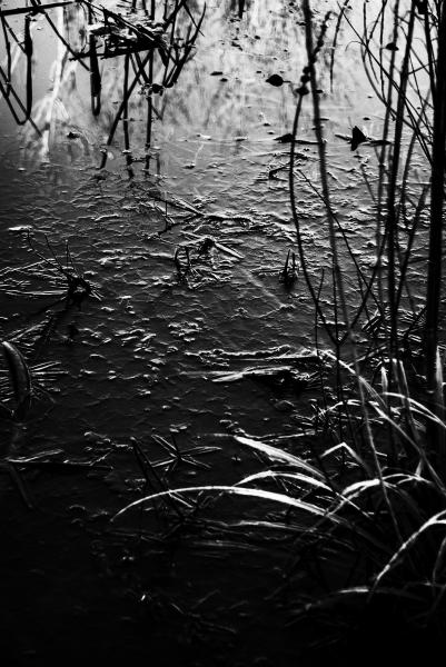 Test Noir et Blanc